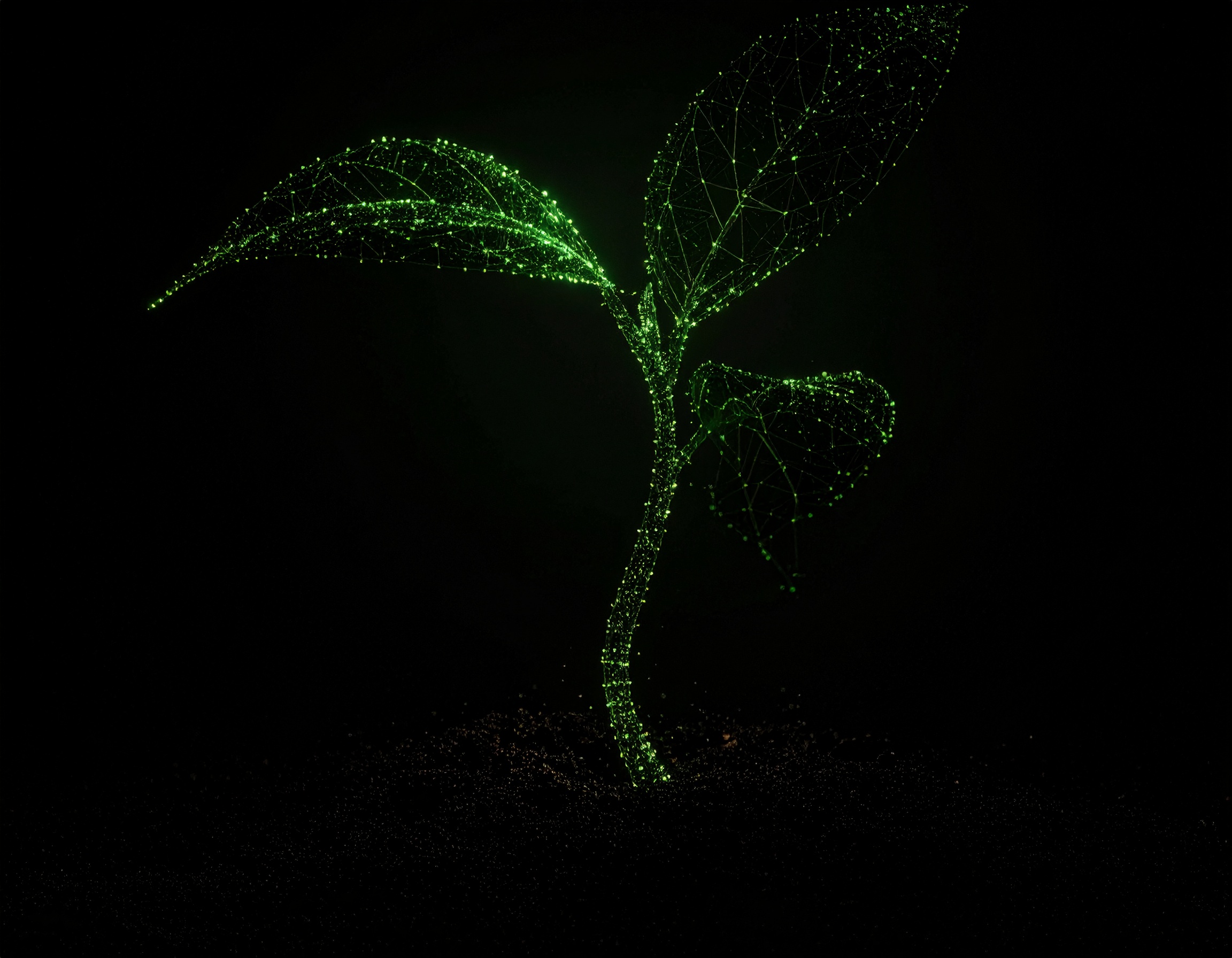 Firefly A young plant sprout composed of luminous green data points and delicate connecting lines, f